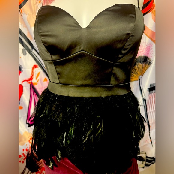 NWOT Bebe feathered zippered corset like satin fashion top - Picture 1 of 15